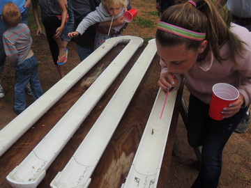 Children Competing in a Minnow Race at Northland Lodge